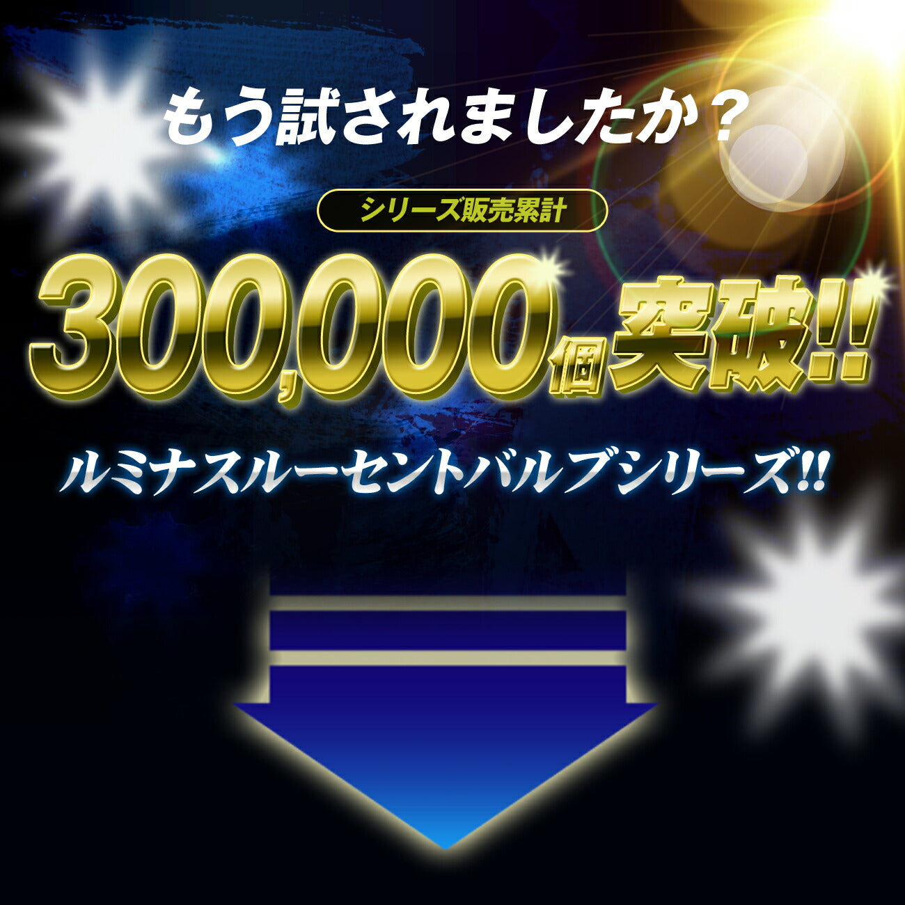ホタル点滅内蔵ルミナスルーセントバルブバスマーカー用(TAKE9)