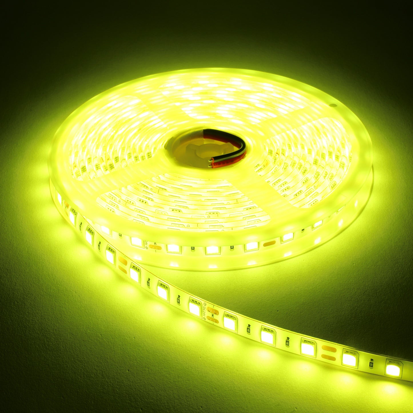 24v専用LEDテープライト5mチップ1段タイプ(take39)