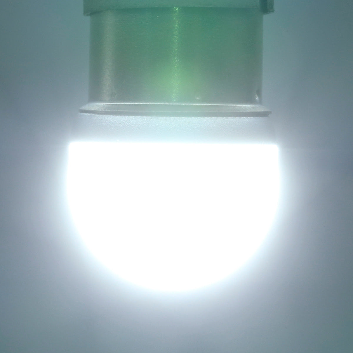 ストロボ内蔵ルミナスルーセントバルブバスマーカー用(TAKE8)