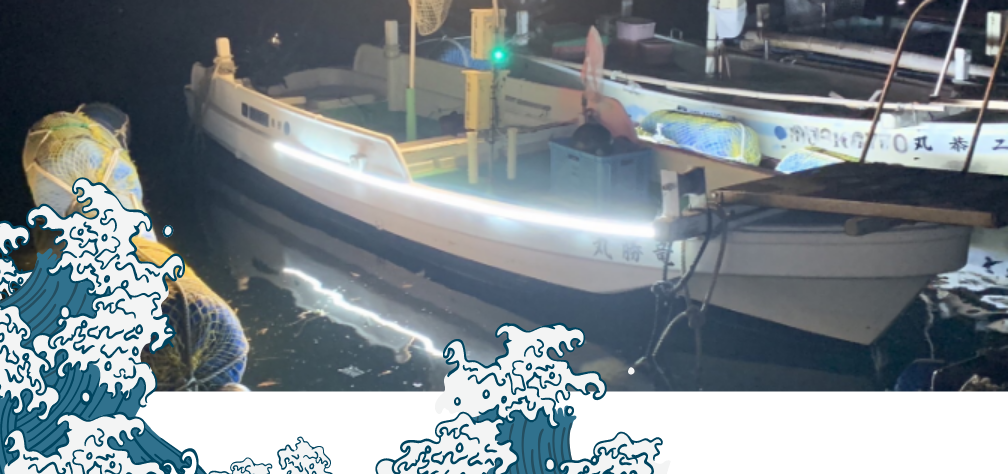 section_3_image