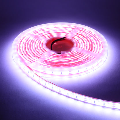 24v専用 LEDテープ 最強防水タイプ  1m 2m 3m (take159)