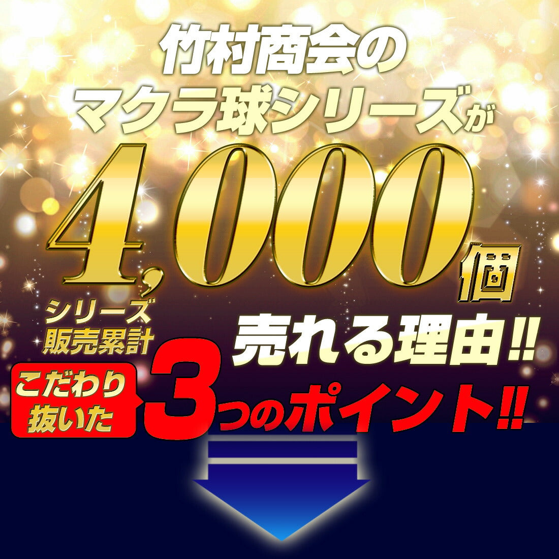 マクラ球 T10×28mm 31mm 36mm 39mm 41mm(take136)