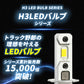 H3LEDバルブ(take145)