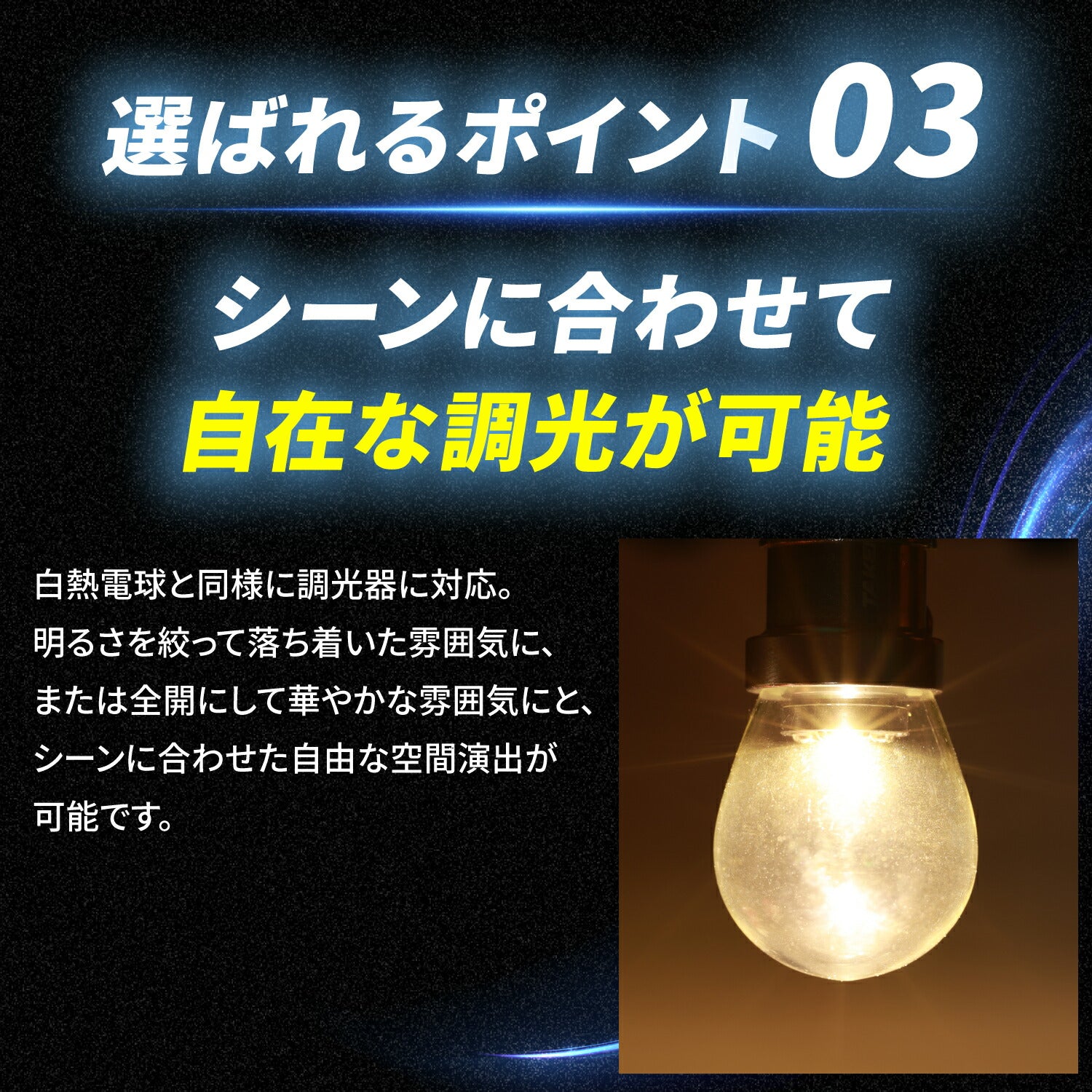 竹村商会 】S25シャンデリア専用バルブ(TAKE191)