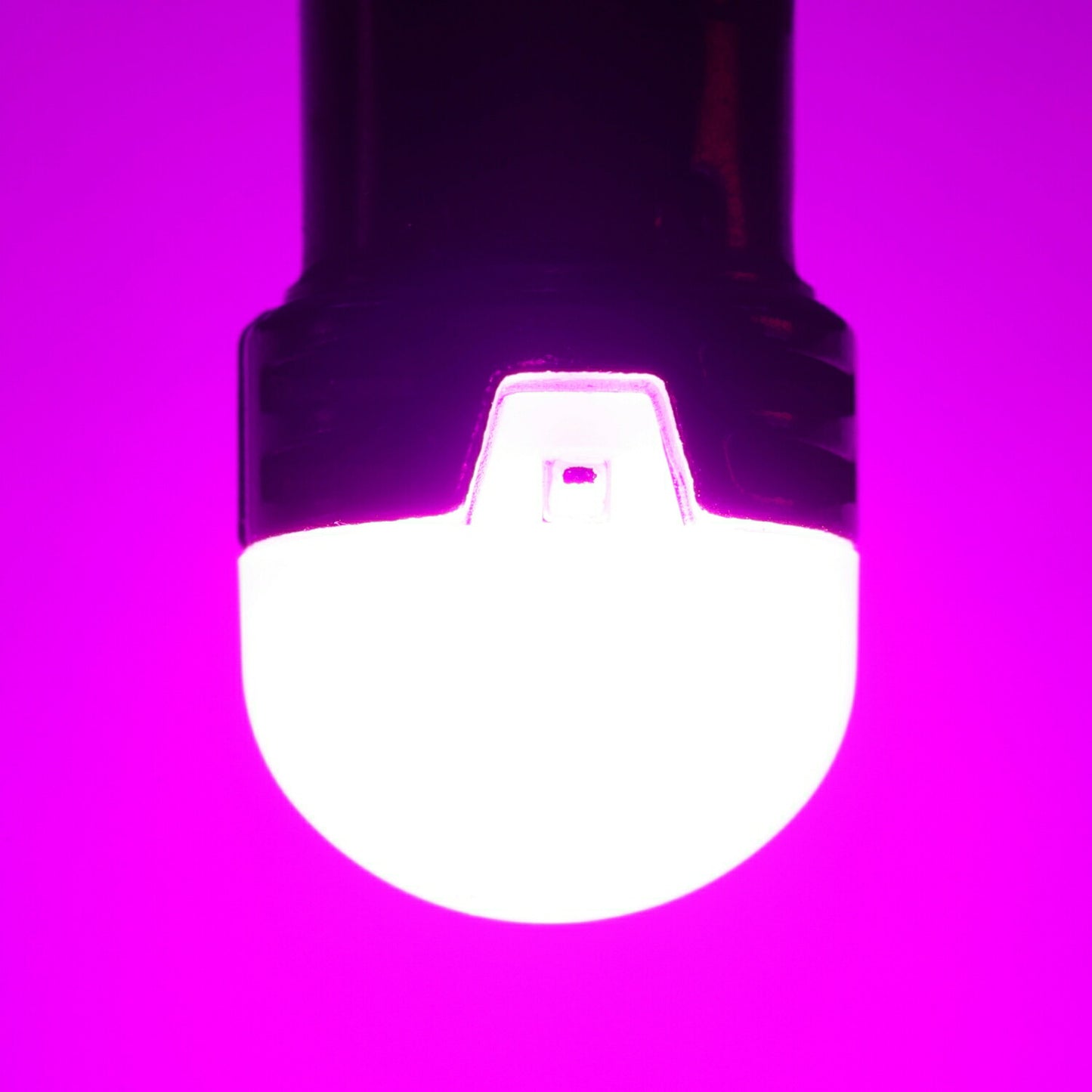 ルミナスルーセントバルブPlus角マーカー用(take192)