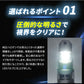 17スーパーグレートフォグランプ用H11LEDバルブ左右セット(TAKE196)