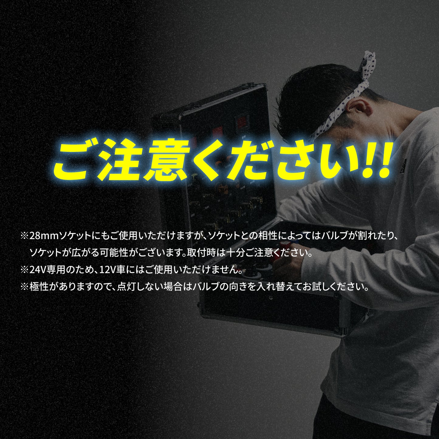 ルミナスルーセントバルブマクラ球(TAKE21)