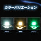 ホタル点滅内蔵マクラ球(take30)