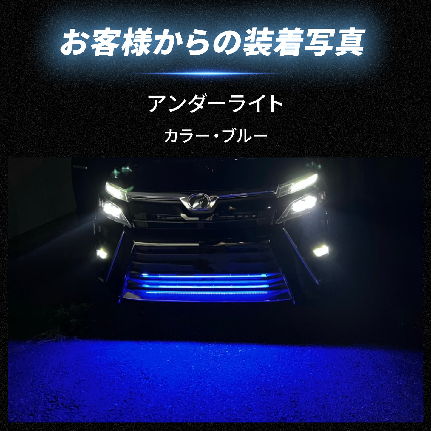 12v専用LEDテープライト5mチップ1段タイプ(take39)