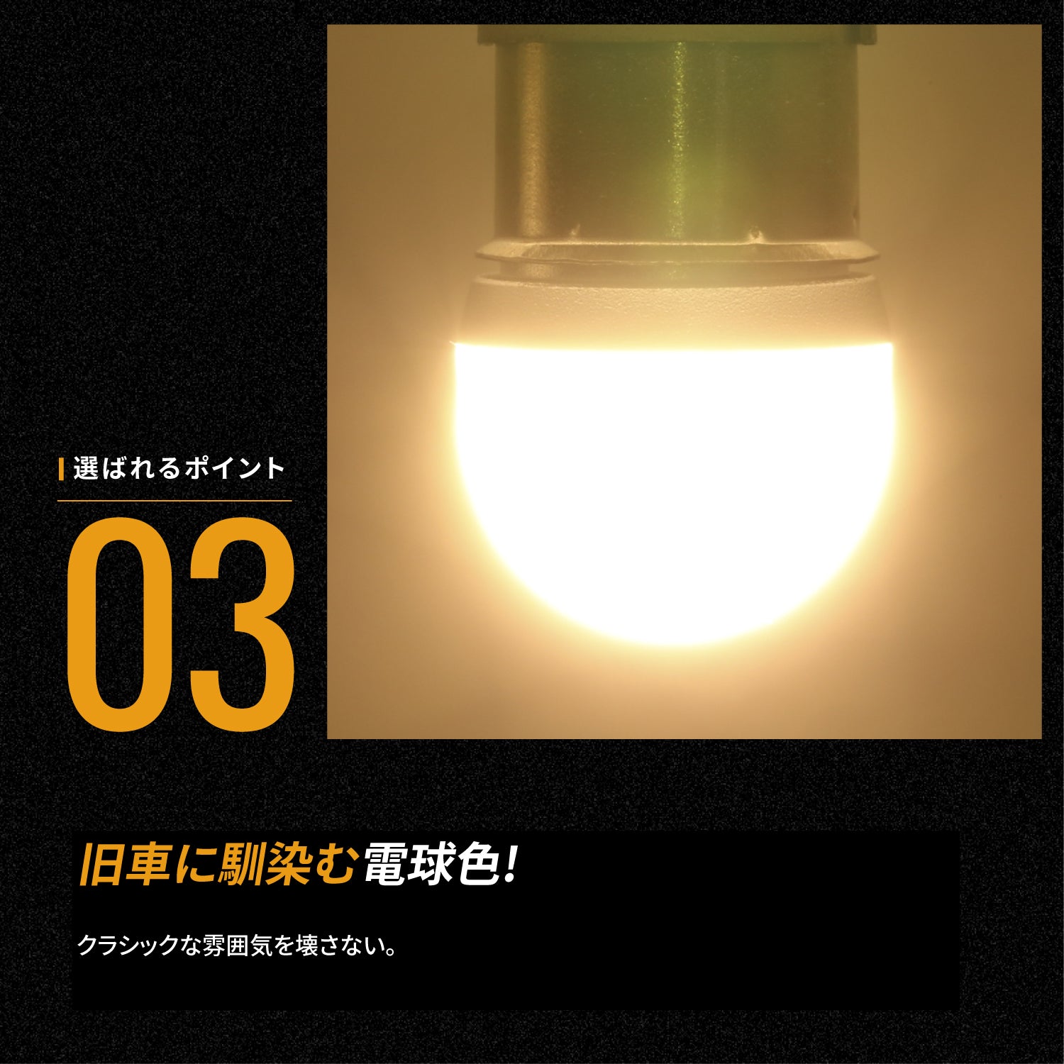 竹村商会 】6v専用ルミナスルーセントバルブ(take62)