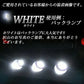 ルミナスルーセントバルブバスマーカー用(TAKE1)